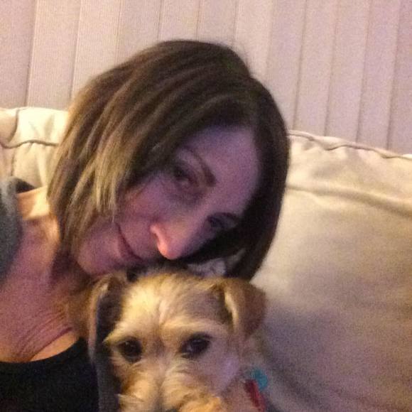 Meet your Posher, Robin - Picture 1 of 1